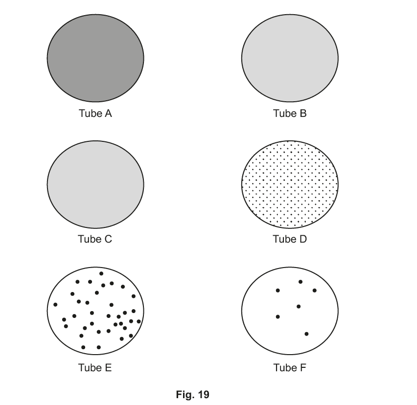 Practical Skills: Written Assessment exam questions | Alevels.ai